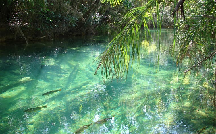 Foto de Balneário Municipal