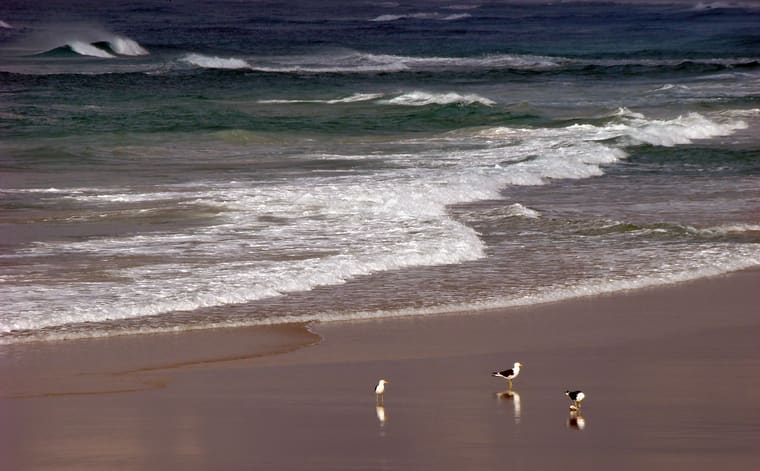 Foto de Praia da Joaquina