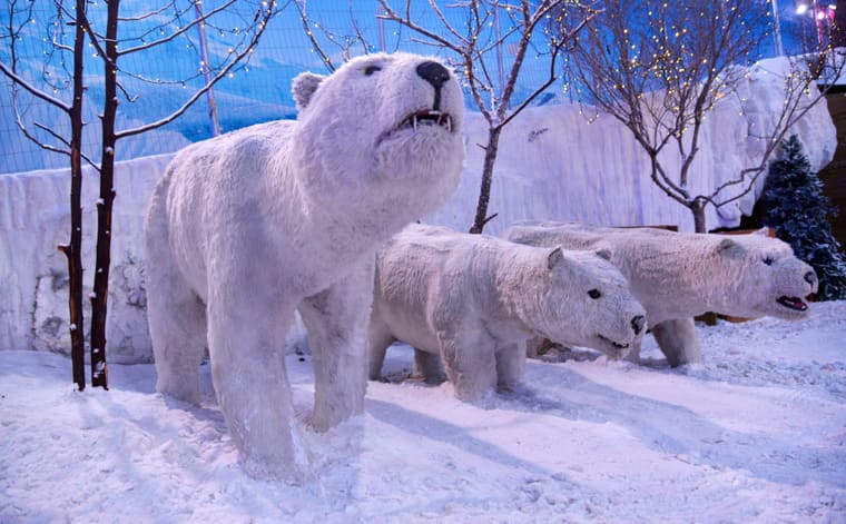 Foto de Snowland